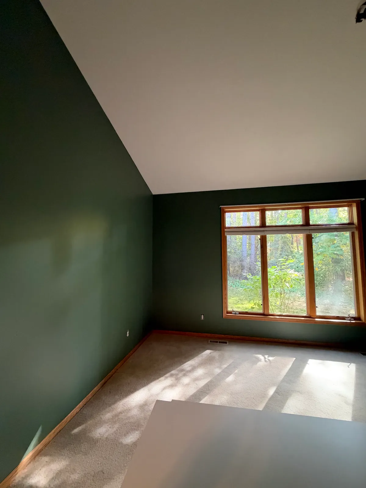 Anoka townhome primary bedroom painted deep green, wood window left as it was.